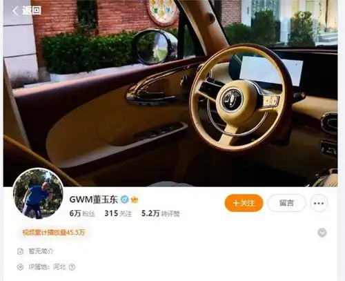 赵永坡兼任欧拉品牌总经理能否带动品牌再次腾飞