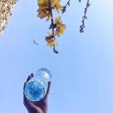 抚摸孩子的哪些部位可以化解情绪