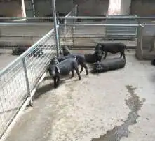 黄页88高清图片