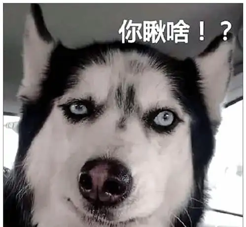 测试一个超长简介的文章