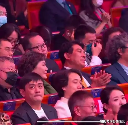 金鸡奖颁奖现场高清80图张艺谋发言时印小天流泪,张译发言刘浩存一直哭