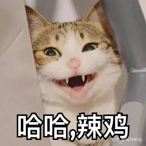 请留下一样你们引以为傲的表情包
