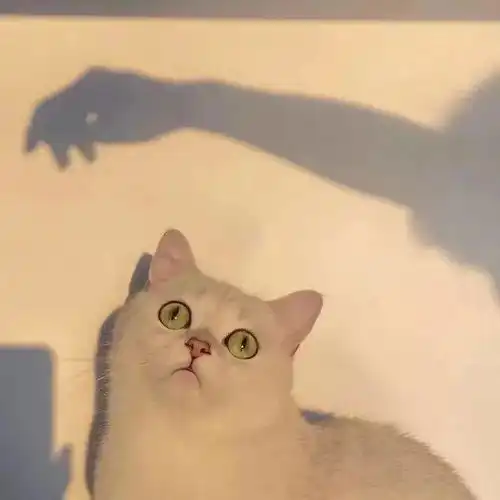 一眼爱上的微信头像