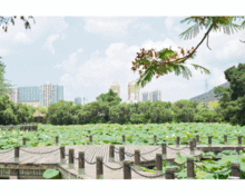 最近,深圳又多了5大免费又好玩的地方周末别宅,一起约起啊