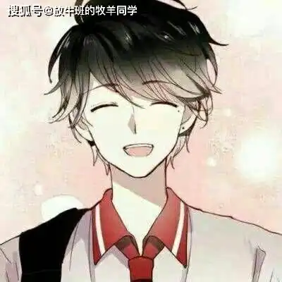 测试一个超长简介的文章