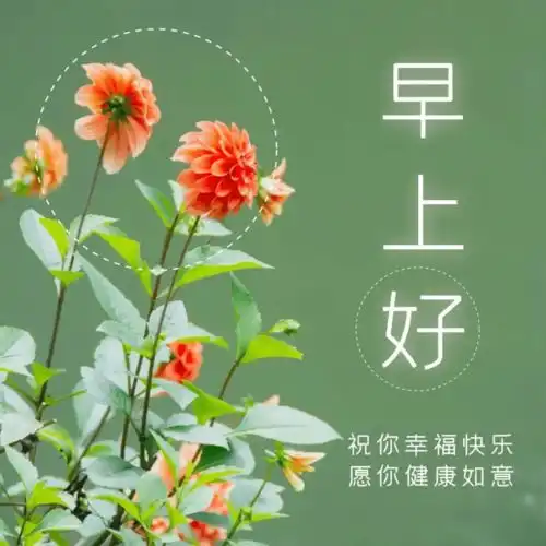 精选早上好祝福语录幸福的秘诀,不抱怨过去不迷茫未来,早安