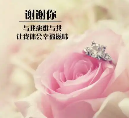 感恩从心开始,让爱温暖彼此