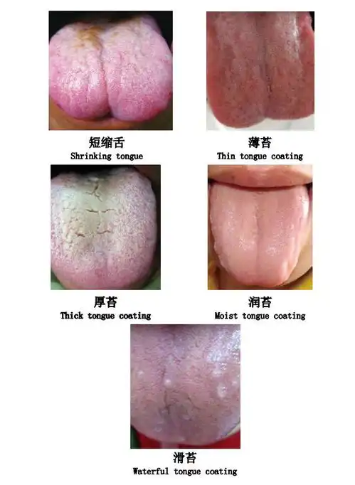 测试一个超长简介的文章