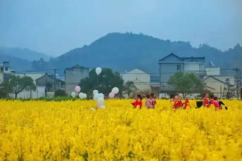 有一种春天,叫油菜花开象山9处绝美花田等你来凤凰网宁波