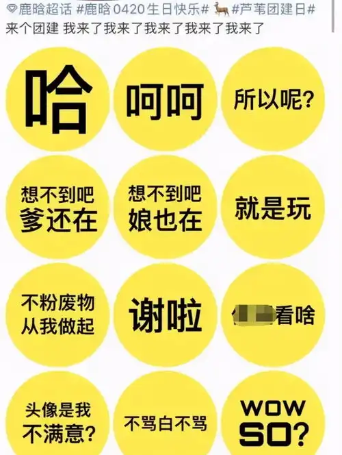 网友统计鹿晗粉丝追星花费近2亿,事业不上进还被嫂子气,扎心了