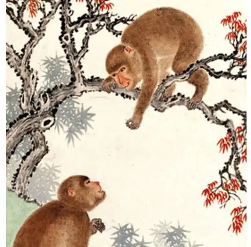 生肖猴,就是明天,你大喜事就要来啦将告别苦日子,喜鹊进家门婚姻宫财运旺财好运网易订阅