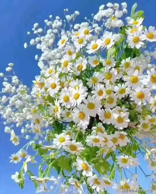错把陈醋当成墨,写在纸上半生酸