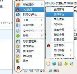 qq会员自定义自动更换头像怎么弄