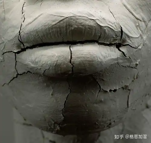 每年换一个加湿器,哪种加湿器适合你