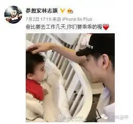 爸比林志颖,一部大写的二胎家庭爸爸教材
