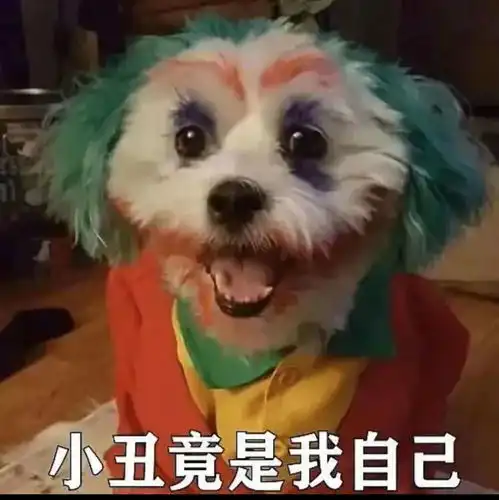 杨笠到底冒犯了谁