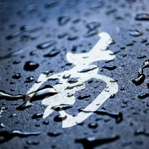 26款不同姓氏图腾,找找你的专属标志吧