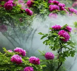 花开时节动京城洛阳牡丹花节