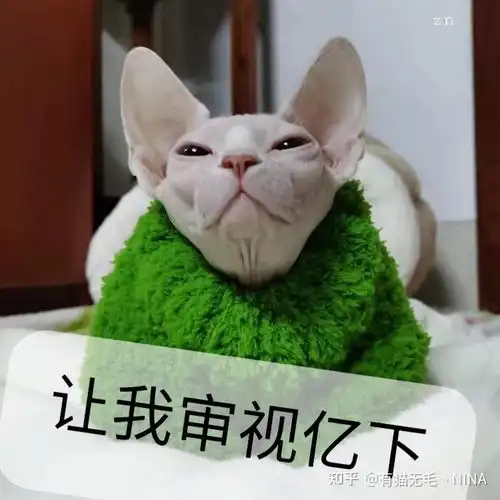 猫咪的冷知识也不是很冷啦