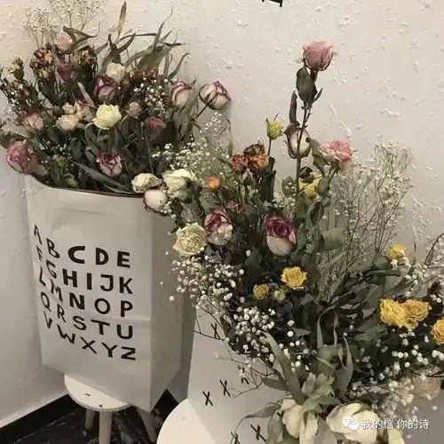 琼楼原来我是一个好高骛远的人