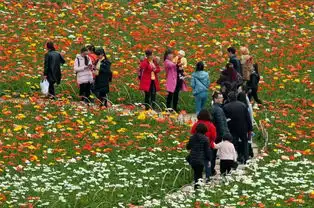 3月23日红安长河缘桃花节风车节3d动漫巨人节三节齐发重磅登场