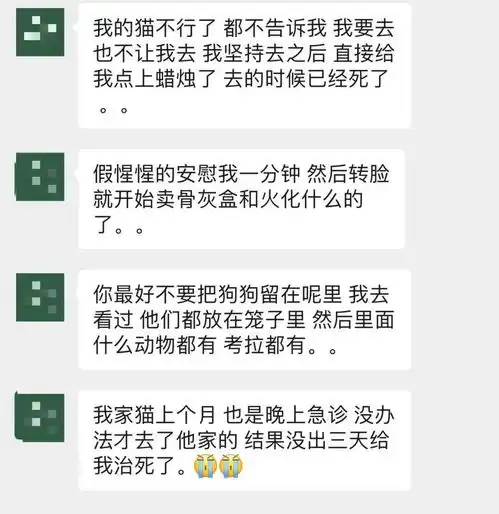 澳洲黑心宠物诊所歧视华人一夜变出四张账单拖延治疗态度恶劣