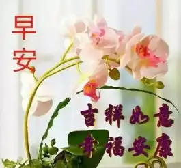 早上好图片带字和鲜花猪年早晨好简单祝福语