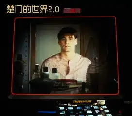 楚门的世界2.0