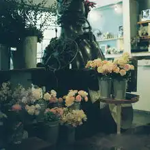 复古爱好者的美丽家设计文艺唯美范儿组图