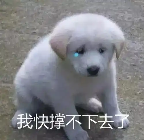 街头撩妹喊狗子拿快递喊狗子狗你是爱我还是利用我
