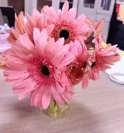 依依又是一个母亲节散文