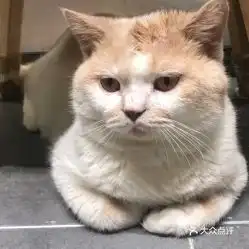 电话,地址,价格,营业时间
