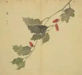 细井徇诗经名物图解典雅诗句中的花草树木