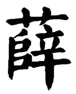 薛姓