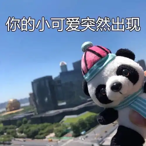 关于大熊猫的10个冷知识