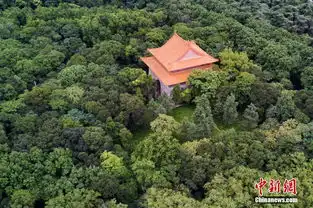 航拍世界文化遗产南京明孝陵尽显一代帝王威武气势高清组图