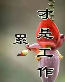 早上好,送你一首价值百万的歌,不听是你的损失