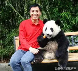 好幸福,大熊猫妹妹吻我啦