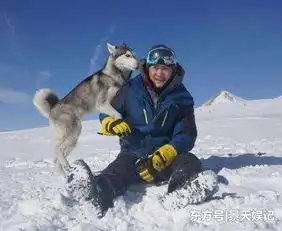 流浪地球轰动影坛之后,吴京新片未映大火,演员阵容超豪华