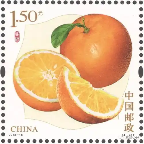 菠萝樱桃杧果甜橙