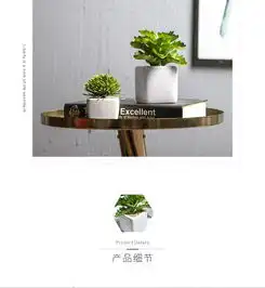 ins北欧风仿真植物装饰绿植小盆栽创意客厅摆件假花多肉家居摆设