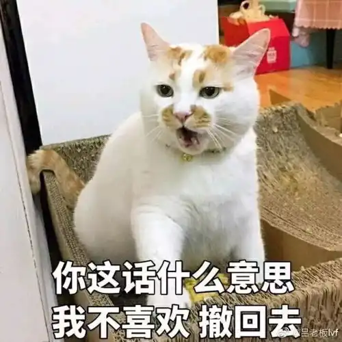 有一个塑料男友是种什么体验情侣对戒五折干脆卖了男友买钻戒吧