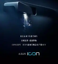 我就是icon