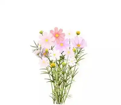 开学了,这些知识点你都掌握了吗