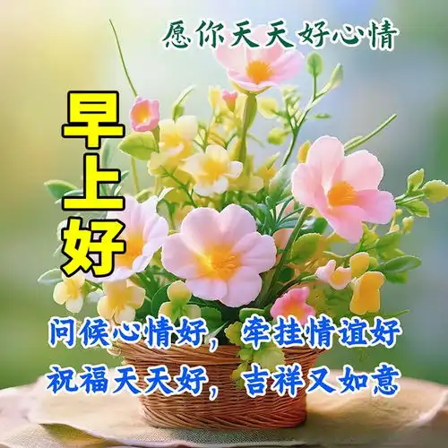 最精美的早上好祝福语图片,早安精选祝福句子发老同学