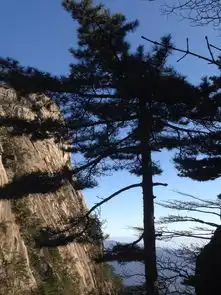 趁着还年轻多去这世界走走看看爬黄山
