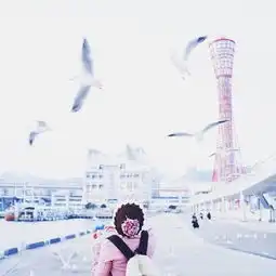 没有人陪伴的旅行也可以很精彩