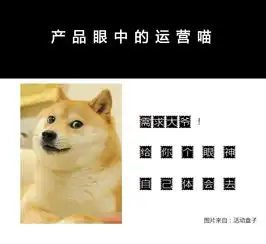 运营喵产品汪,你如何看待猫狗大战
