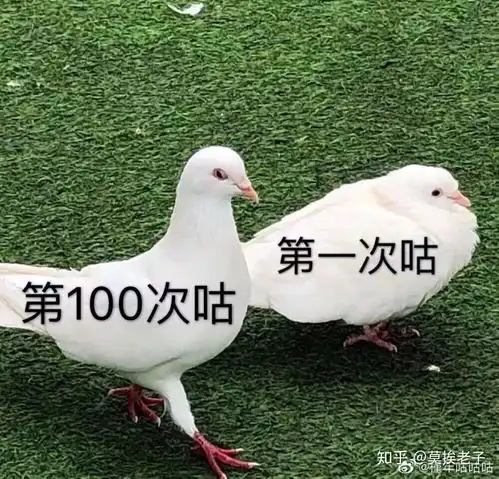 中公教育的管理培训生怎么样哇有哪位大神解读一下