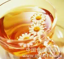 春季喝什么茶最好
